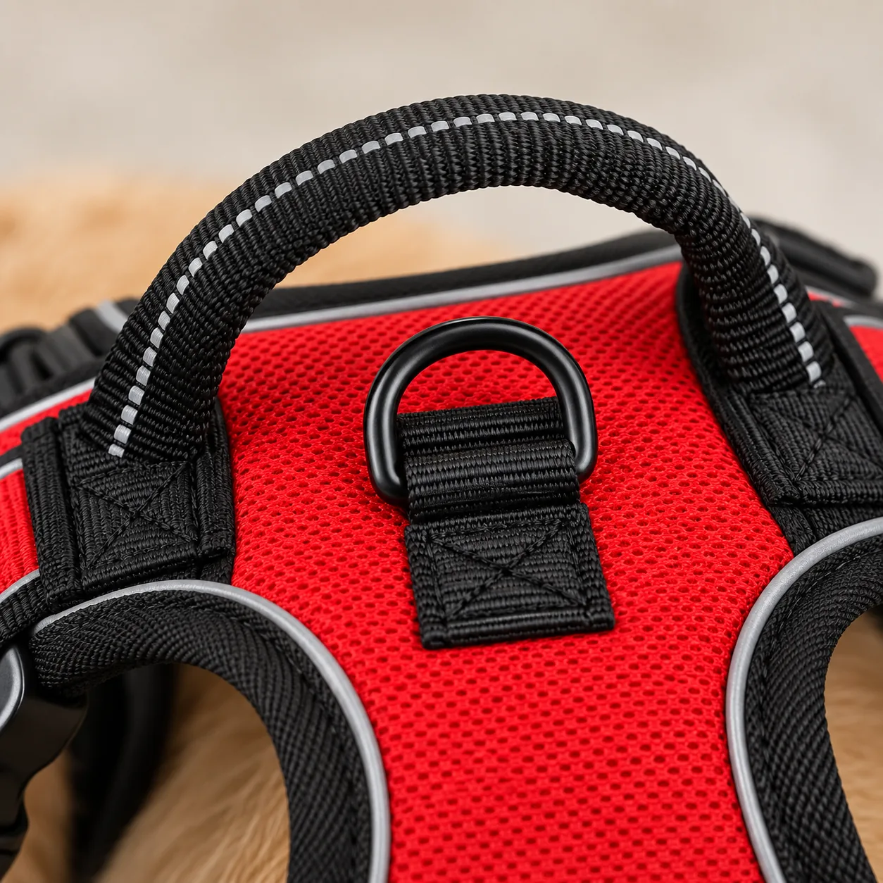 Close-up of the padded top handle arching over the spine panel with the back D-ring on its own stitched tab just in front of it