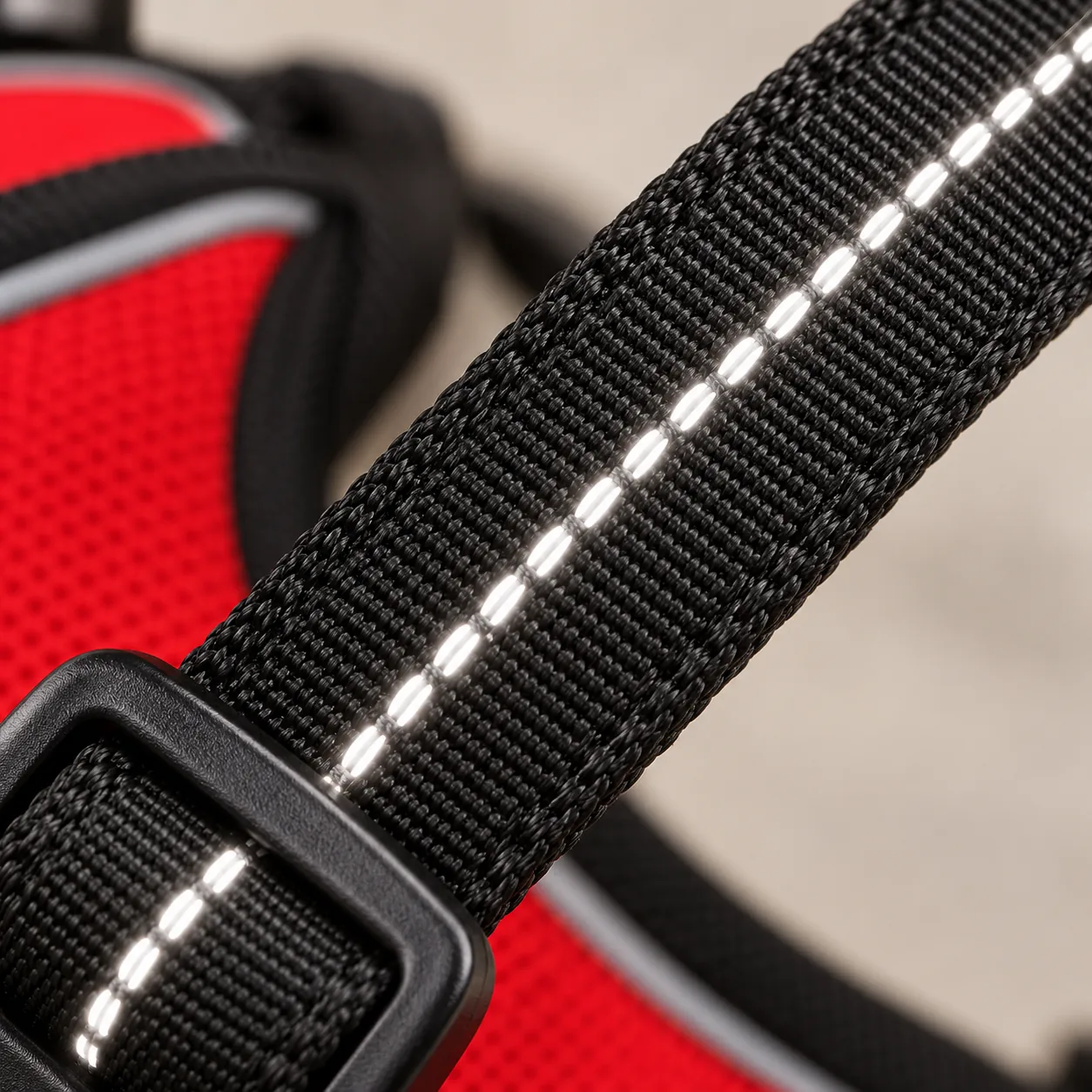 Macro of a harness strap lit so the reflective thread woven along its whole length shines in one continuous line